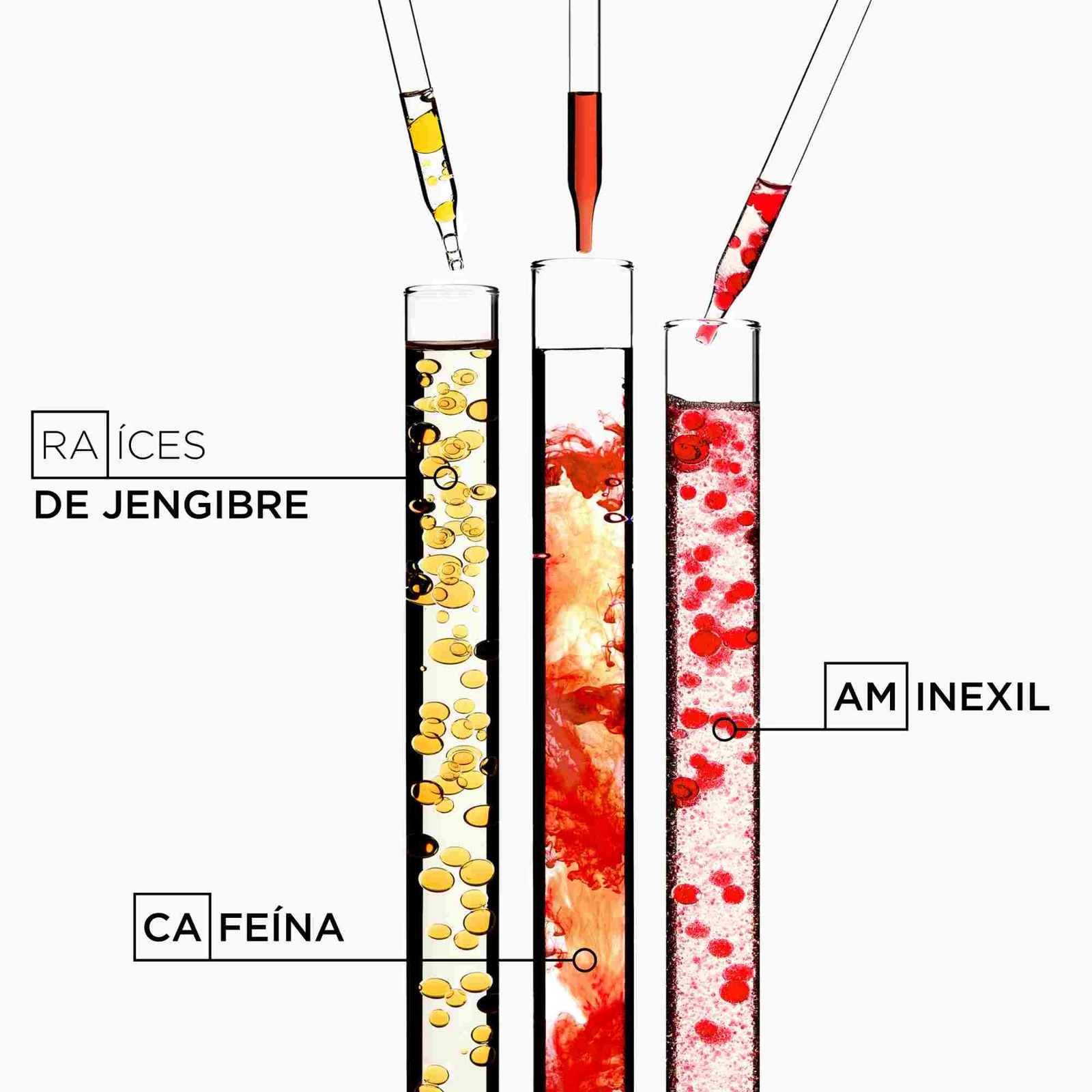 Representación visual de Aminexil, cafeína y extracto de jengibre en material de laboratorio