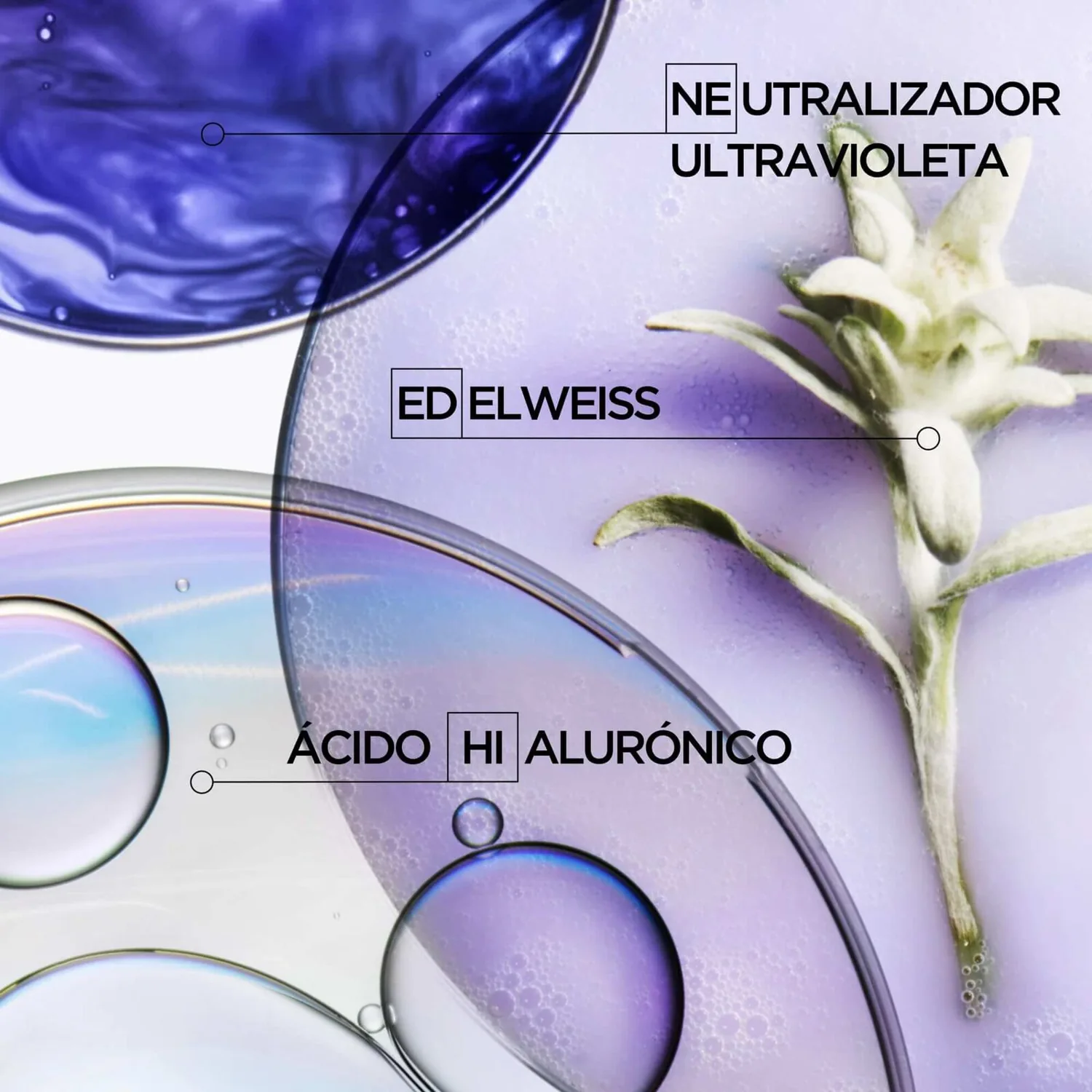 Universo e ingredientes de Blond Absolu