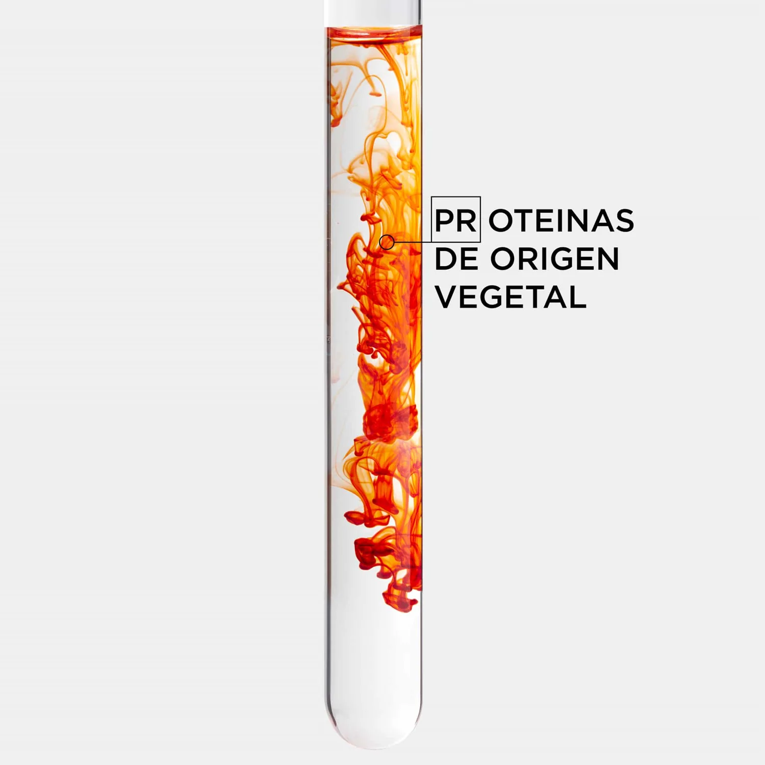 Universo e ingredientes de Nutritive