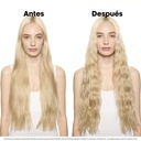 Flex Waves · imagen 6