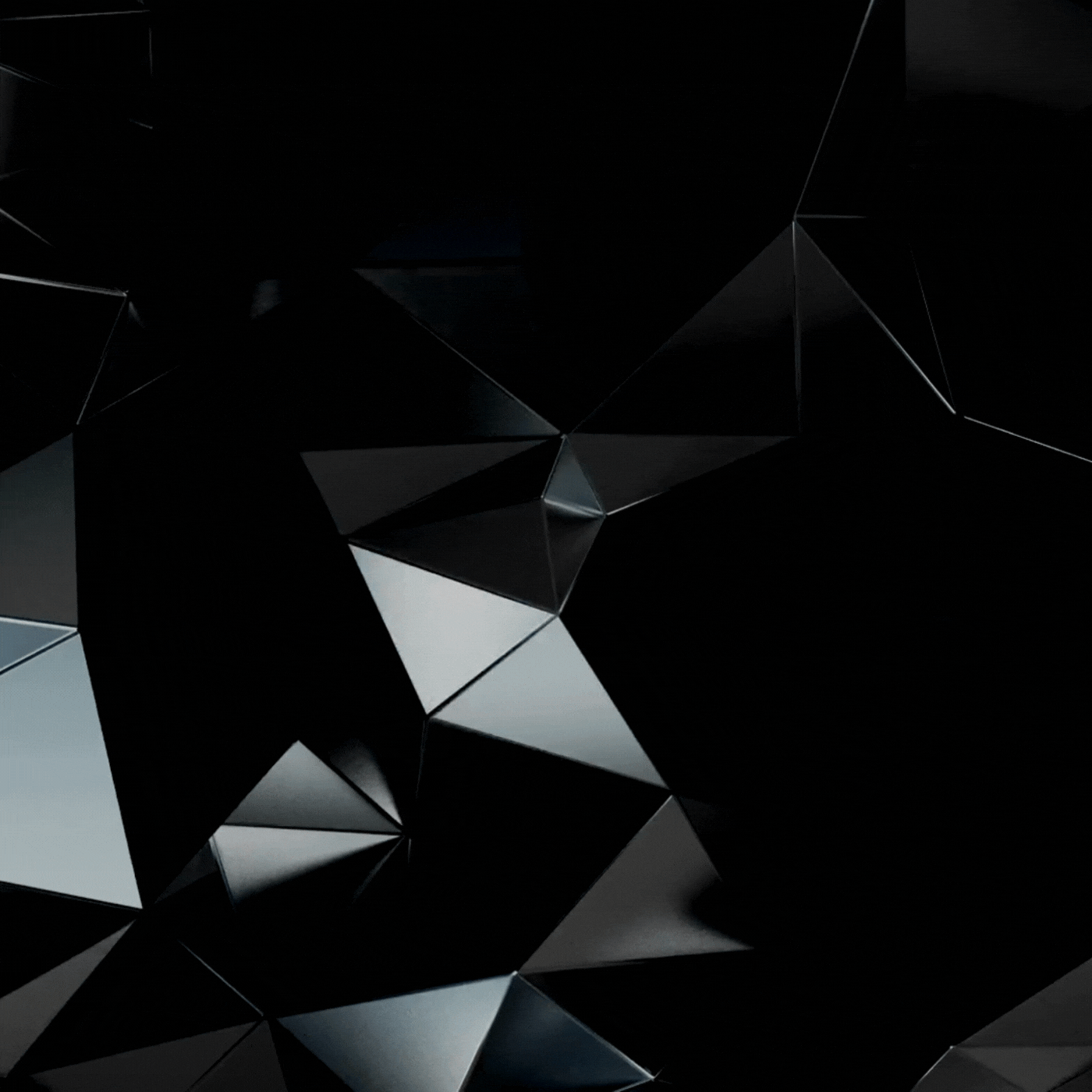 Cronograma de tratamientos capilares — Edición Black Week 